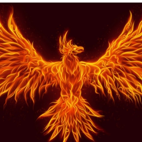 Meet your Posher, A - Picture 1 of 1